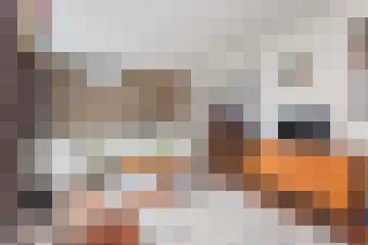 Jacob van Ruisdaelstraat 17 Wijk bij Duurstede thumbnail 7