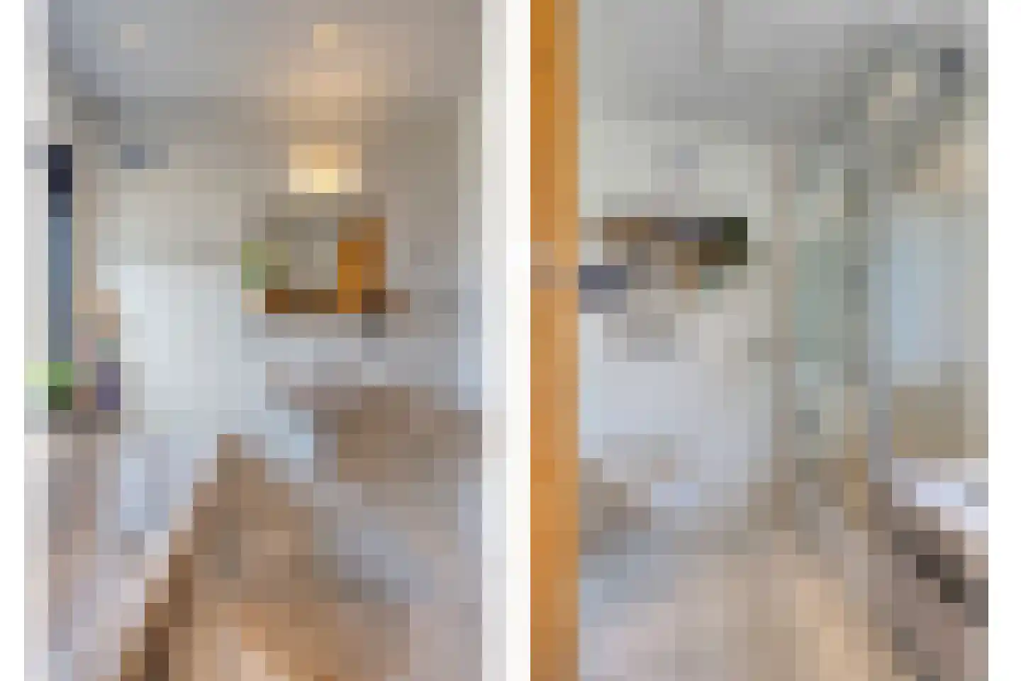 Jacob van Ruisdaelstraat 20 Vught thumbnail 28