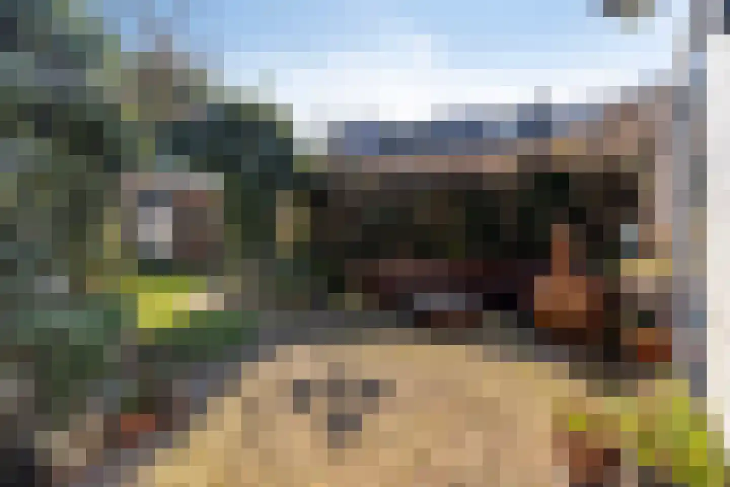 Jacob van Ruisdaelstraat 20 Vught thumbnail 34