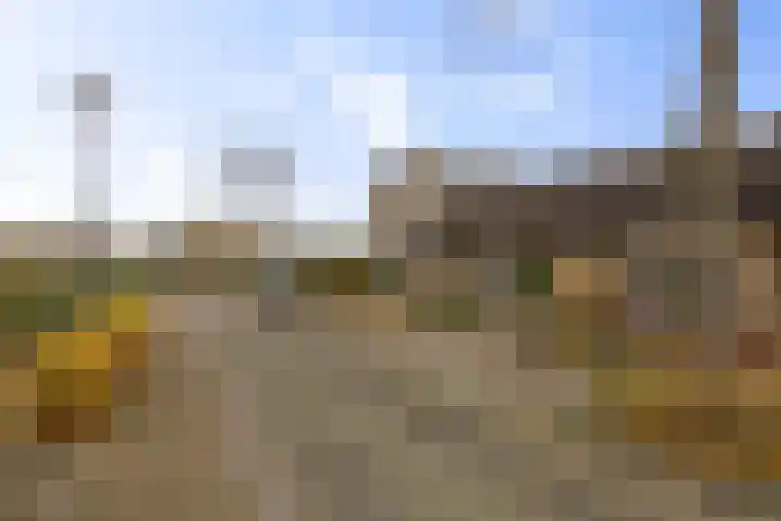 Jacob van Ruisdaelstraat 56 Twello thumbnail 34