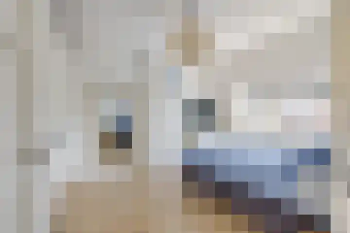 Jacob van Ruisdaelstraat 94 Utrecht thumbnail 11