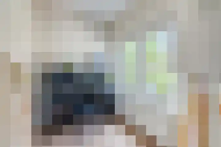 Jacob van Ruisdaelstraat 94 Utrecht thumbnail 23