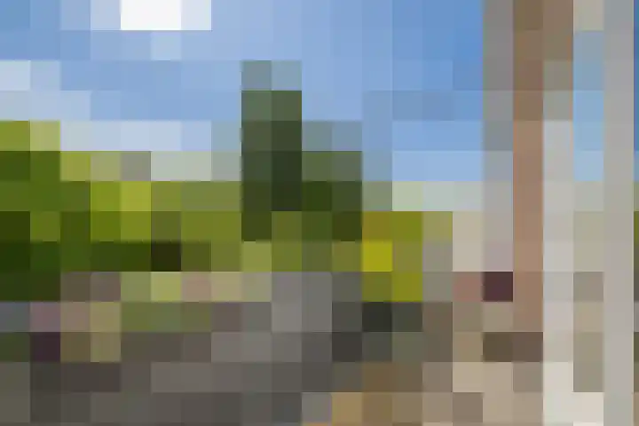 Jacob van Ruisdaelstraat 94 Utrecht thumbnail 35