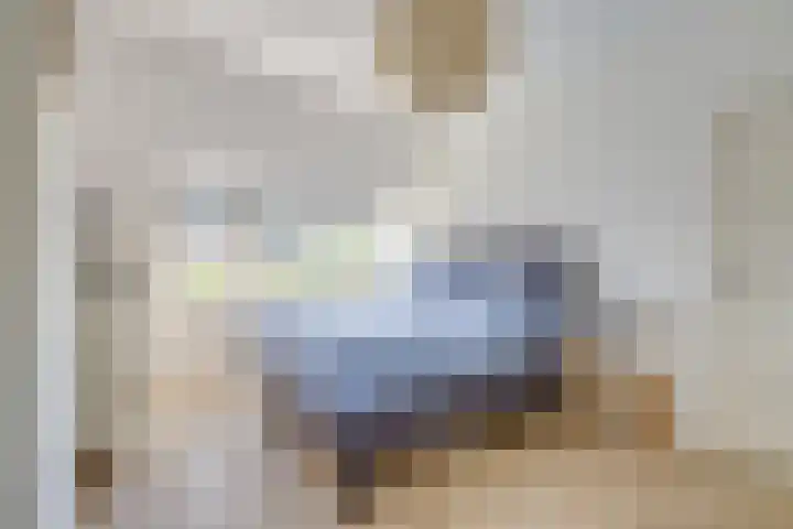 Jacob van Ruisdaelstraat 94 Utrecht thumbnail 41
