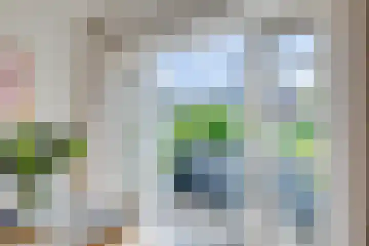 Jacob van Ruisdaelstraat 94 Utrecht thumbnail 7