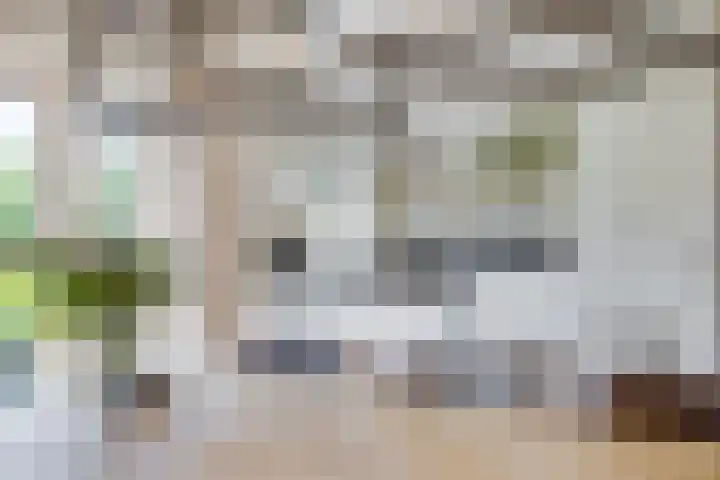 Jacob van Ruisdaelstraat 94 Utrecht thumbnail 8