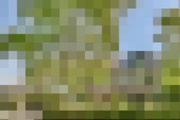 Jacob van Ruisdaelweg 4 Ouderkerk aan de Amstel thumbnail 31