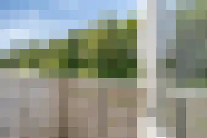 Jacob van Ruysdael 9 Creil thumbnail 32