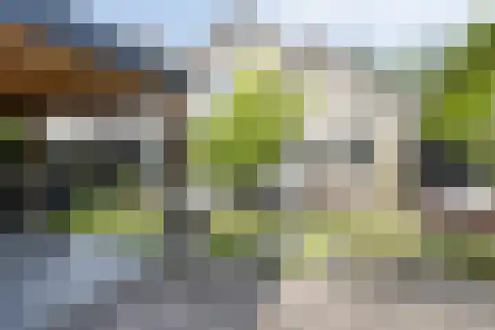 Jacob van Ruysdael 9 Creil thumbnail 4