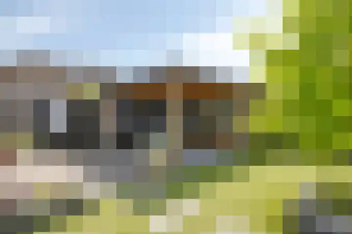 Jacob van Ruysdael 9 Creil thumbnail 52