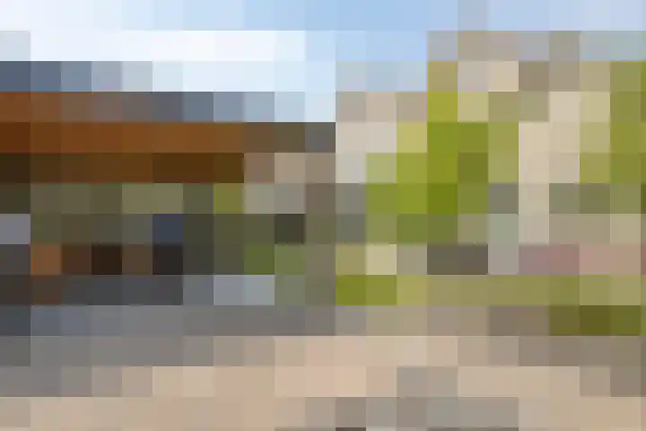 Jacob van Ruysdael 9 Creil thumbnail 54