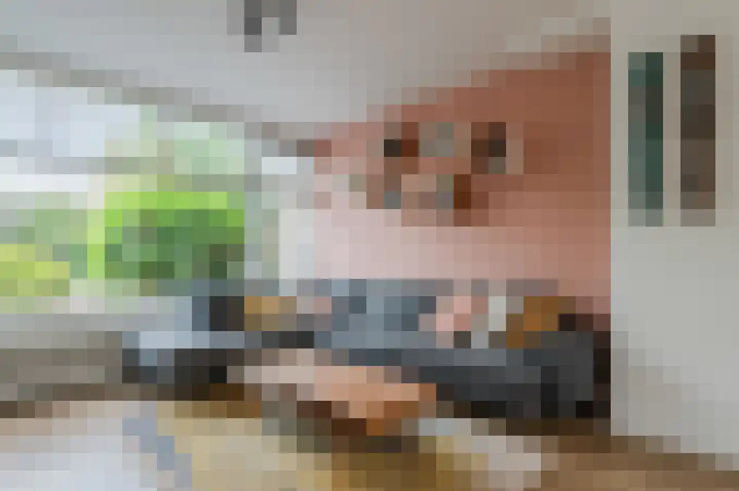 Jacob van Ruysdaellaan 5 Oegstgeest thumbnail 10