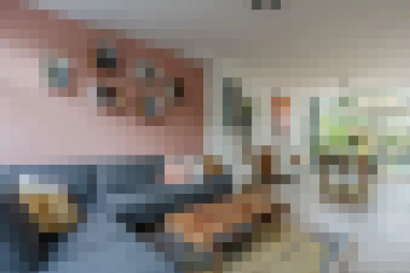 Jacob van Ruysdaellaan 5 Oegstgeest thumbnail 12