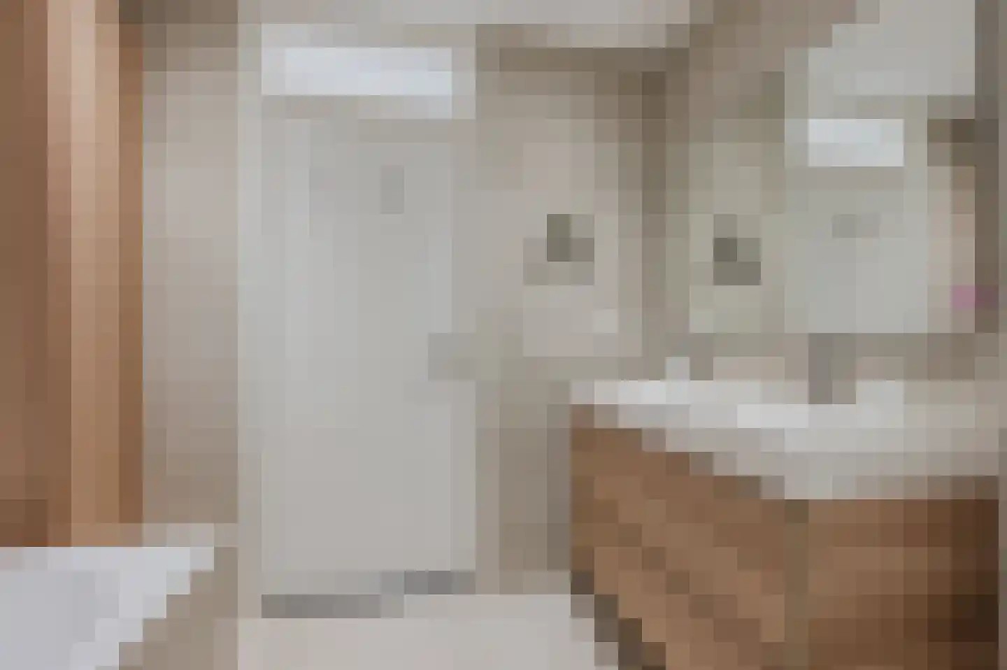 Jacob van Ruysdaellaan 5 Oegstgeest thumbnail 34