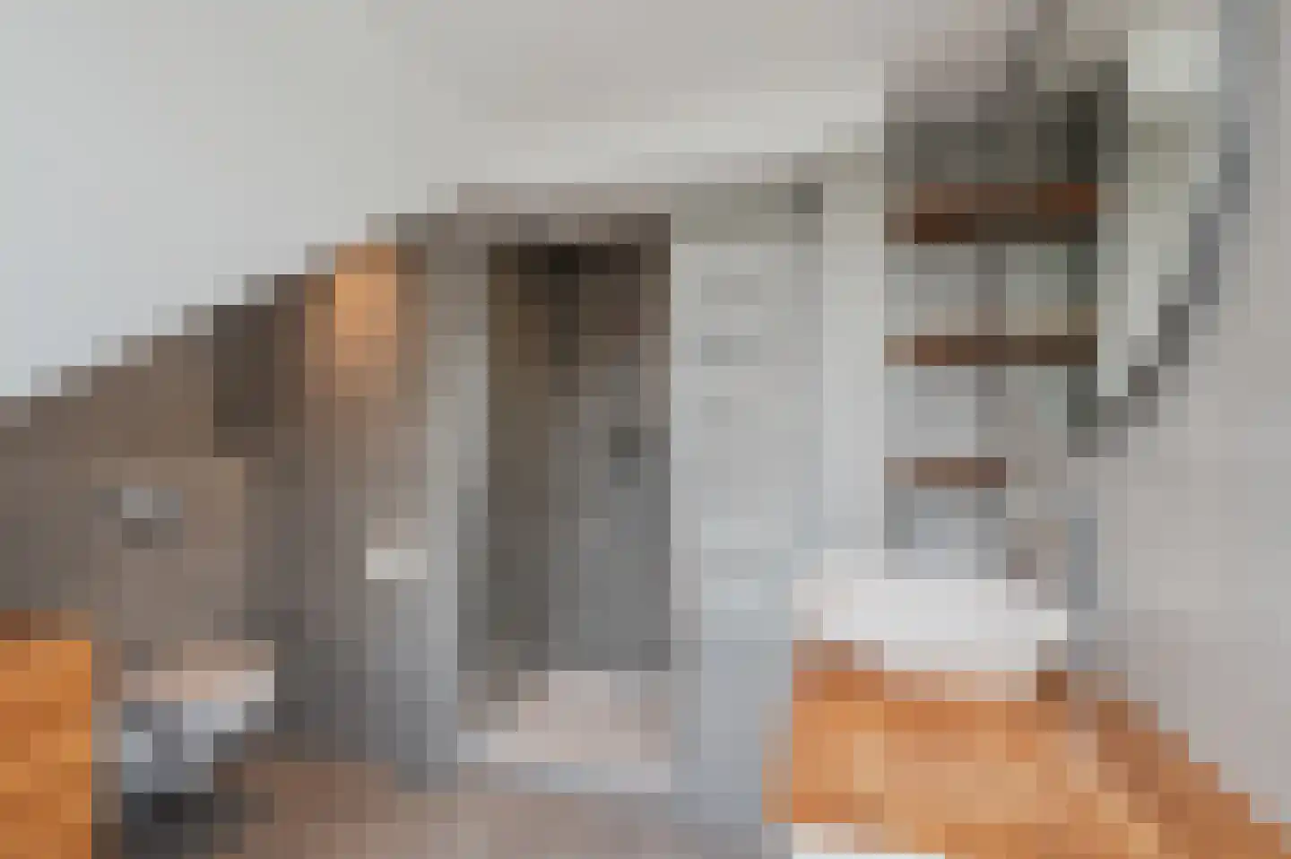 Jacob van Ruysdaellaan 5 Oegstgeest thumbnail 40