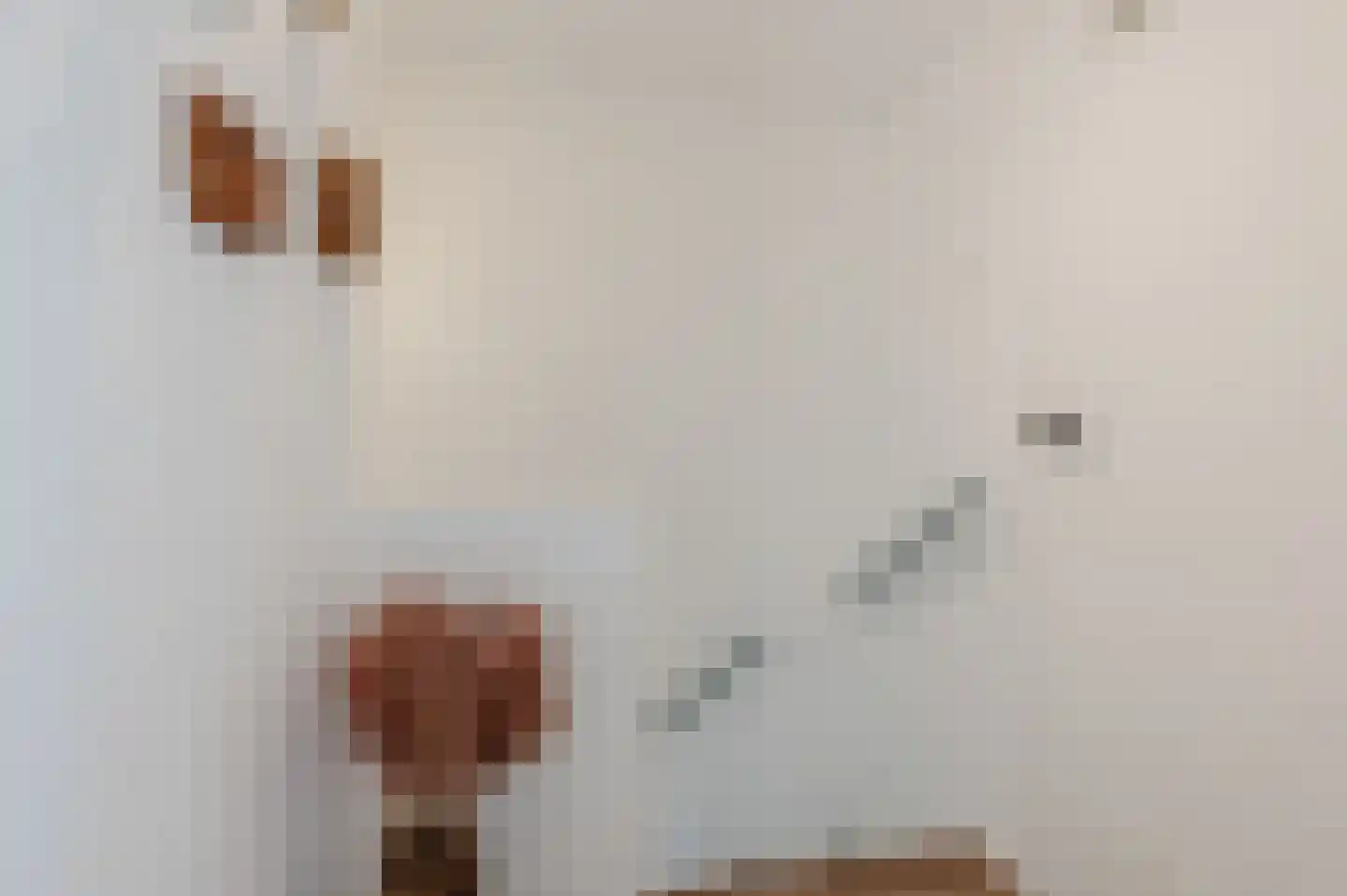 Jacob van Ruysdaellaan 5 Oegstgeest thumbnail 43