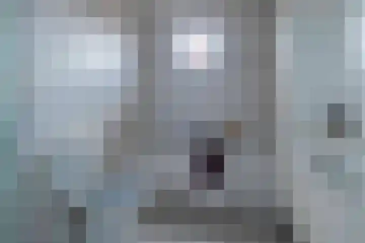 Jacob van Ruysdaellaan 7 Musselkanaal thumbnail 18