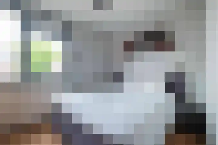 Jacob van Ruysdaellaan 7 Musselkanaal thumbnail 20