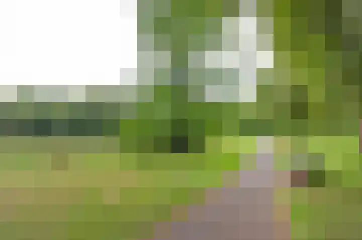 Jacob van Ruysdaellaan 7 Musselkanaal thumbnail 30
