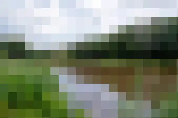 Jacob van Ruysdaellaan 7 Musselkanaal thumbnail 31