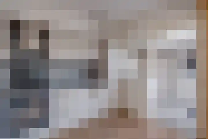 Jacob van Ruysdaellaan 8 Lochem thumbnail 10