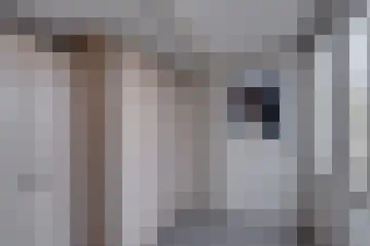 Jacob van Ruysdaellaan 8 Lochem thumbnail 11