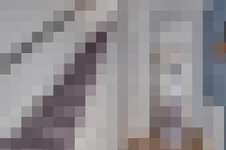 Jacob van Ruysdaellaan 8 Lochem thumbnail 13