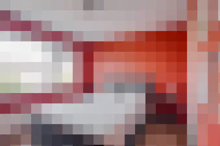 Jacob van Ruysdaellaan 8 Lochem thumbnail 14