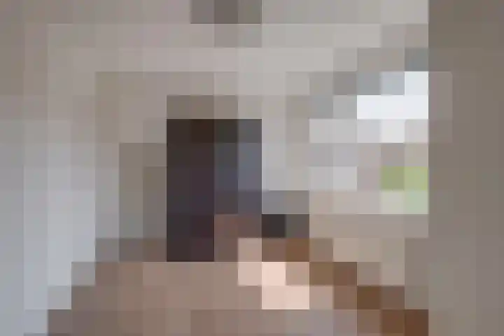 Jacob van Ruysdaellaan 8 Lochem thumbnail 15