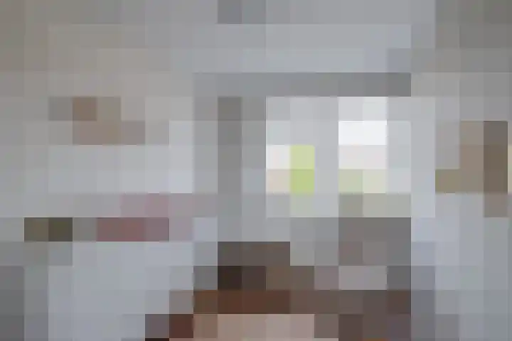 Jacob van Ruysdaellaan 8 Lochem thumbnail 16