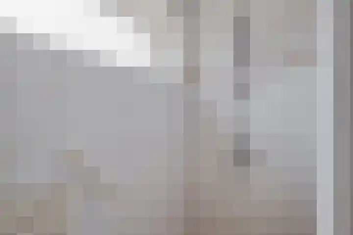 Jacob van Ruysdaellaan 8 Lochem thumbnail 18