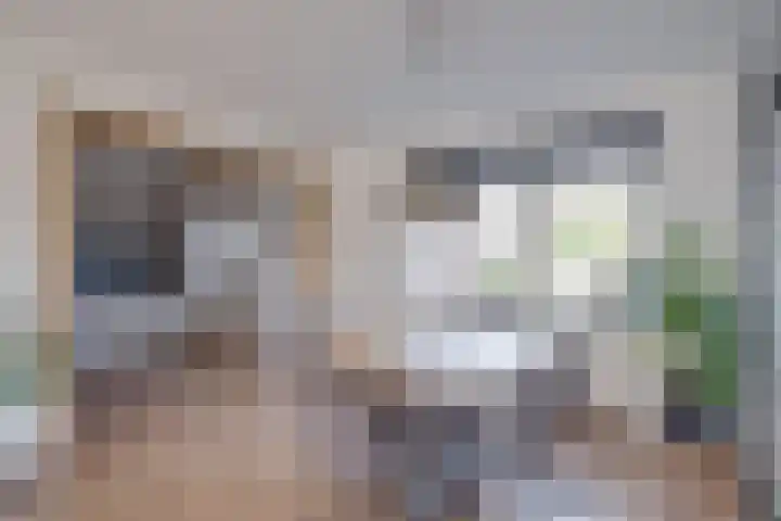 Jacob van Ruysdaellaan 8 Lochem thumbnail 7