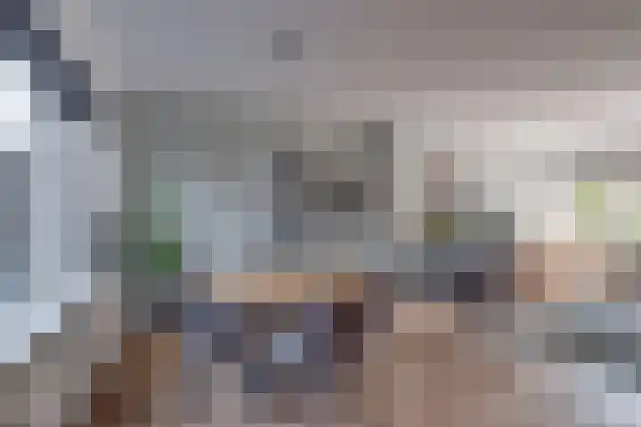 Jacob van Ruysdaellaan 8 Lochem thumbnail 8