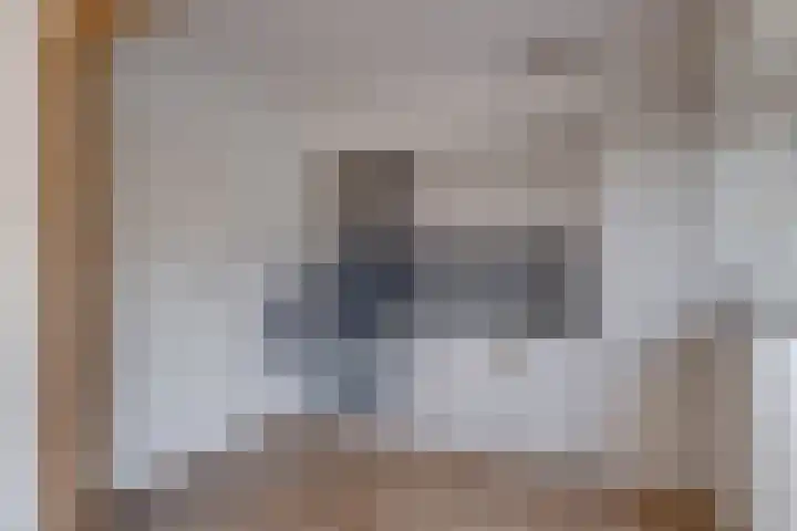 Jacob van Ruysdaellaan 8 Lochem thumbnail 9