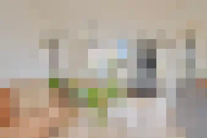 Jacob van Ruysdaelsingel 7 Capelle aan den IJssel thumbnail 13