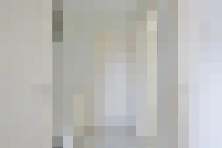 Jacob van Ruysdaelsingel 7 Capelle aan den IJssel thumbnail 19