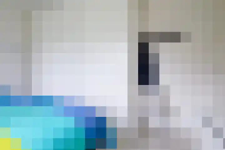 Jacob van Ruysdaelsingel 7 Capelle aan den IJssel thumbnail 28