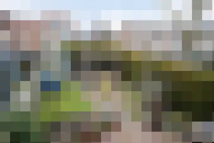 Jacob van Ruysdaelsingel 7 Capelle aan den IJssel thumbnail 33