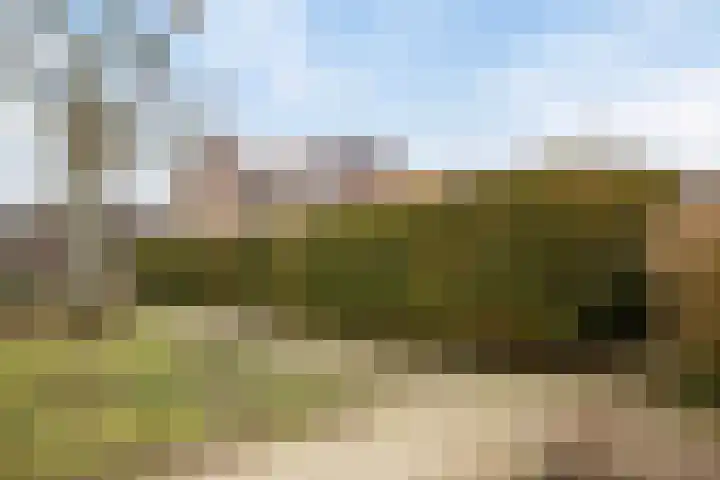 Jacob van Ruysdaelsingel 7 Capelle aan den IJssel thumbnail 41