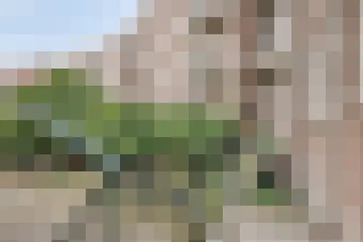Jacob van Ruysdaelstraat 1 's-Hertogenbosch thumbnail 8