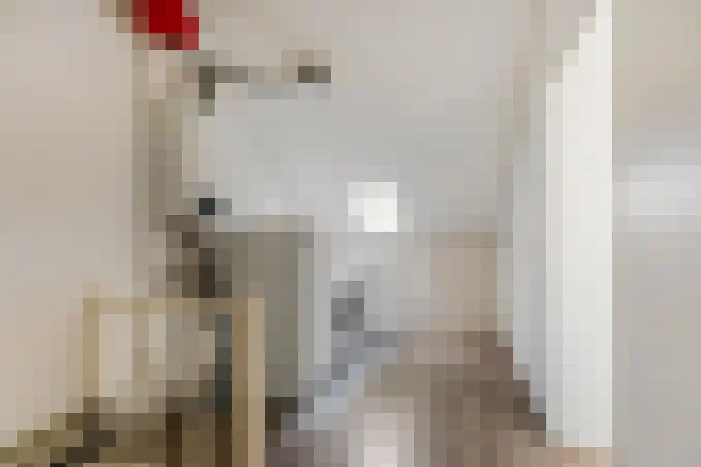 Jacob van Ruysdaelstraat 10 Voorthuizen thumbnail 28