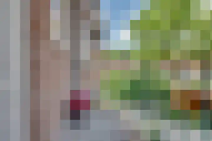 Jacob van Ruysdaelstraat 11 's-Hertogenbosch thumbnail 15