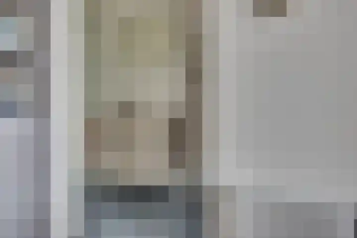 Jacob van Ruysdaelstraat 11 's-Hertogenbosch thumbnail 17