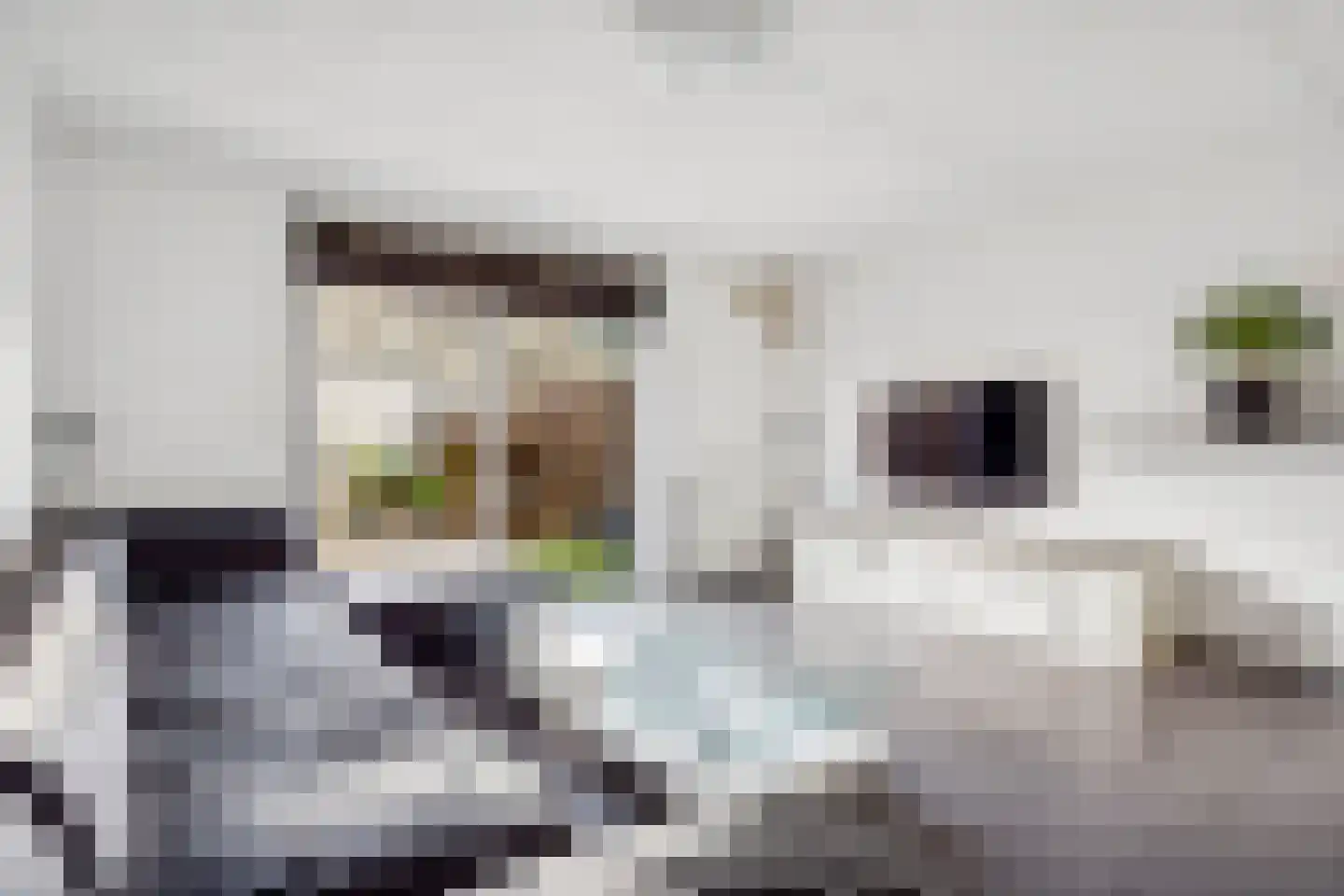 Jacob van Ruysdaelstraat 111 Almere thumbnail 13