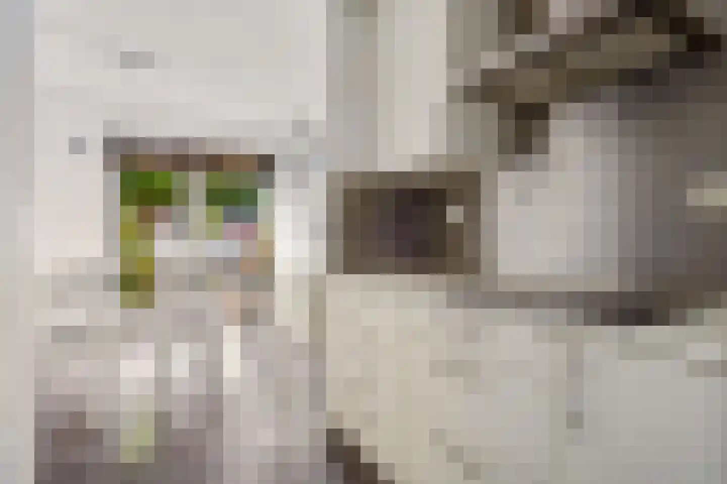 Jacob van Ruysdaelstraat 111 Almere thumbnail 17