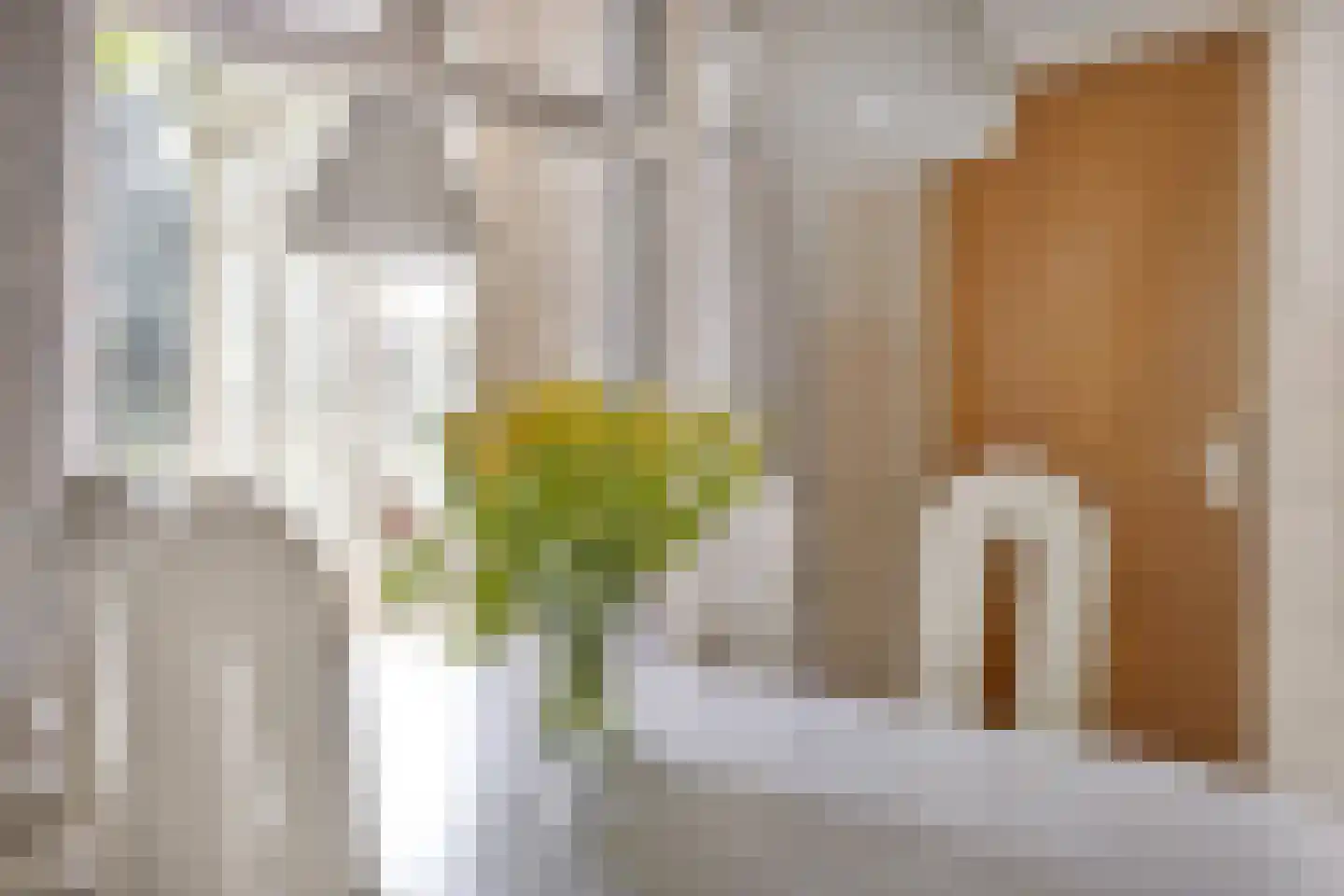 Jacob van Ruysdaelstraat 12 Boxmeer thumbnail 11