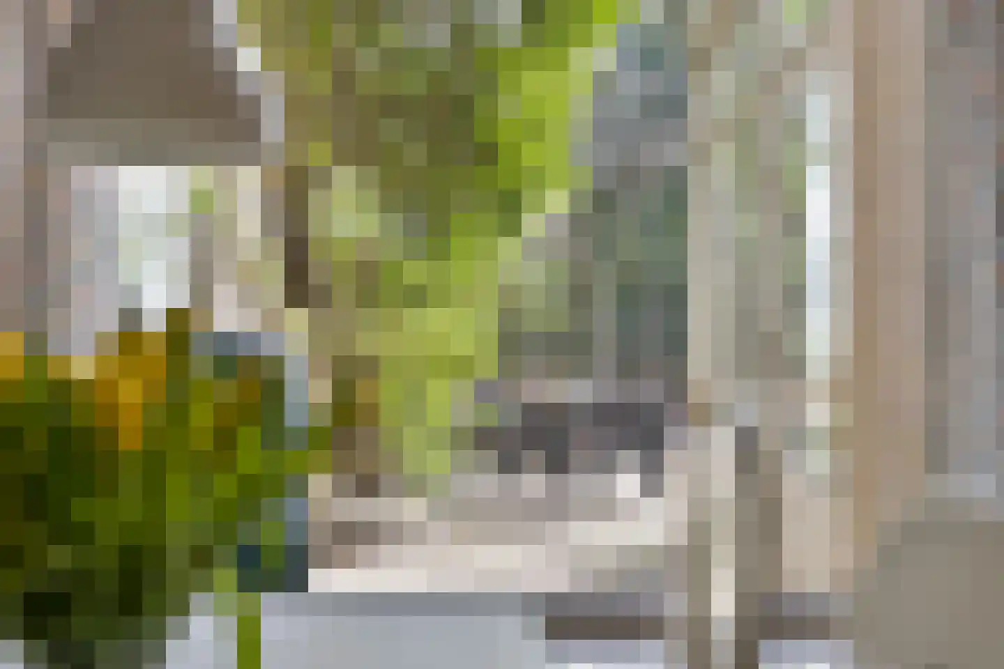 Jacob van Ruysdaelstraat 12 Boxmeer thumbnail 13