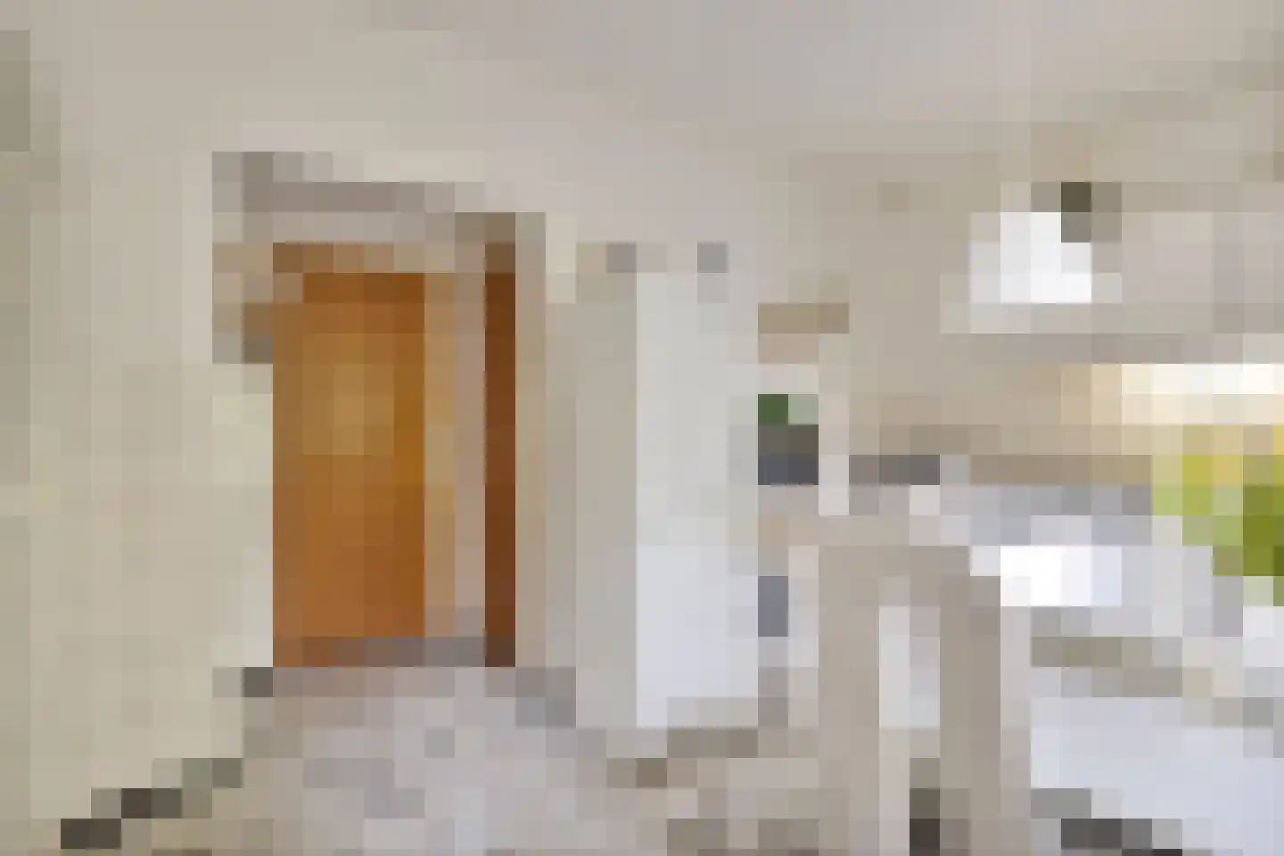 Jacob van Ruysdaelstraat 12 Boxmeer thumbnail 14