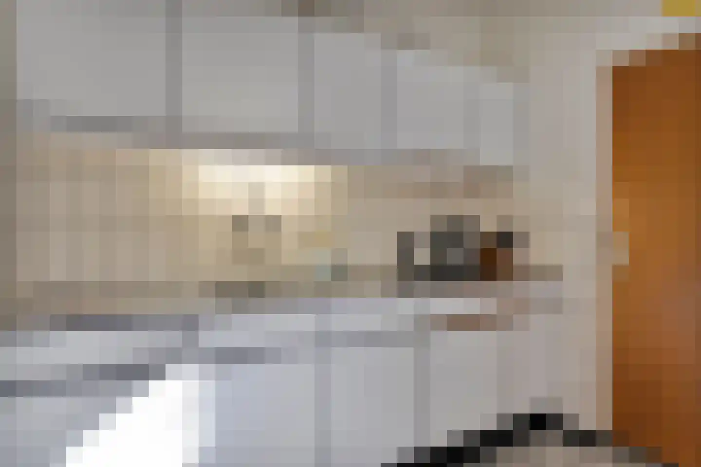 Jacob van Ruysdaelstraat 12 Boxmeer thumbnail 15