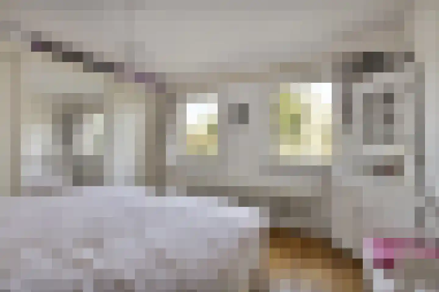 Jacob van Ruysdaelstraat 12 Boxmeer thumbnail 22